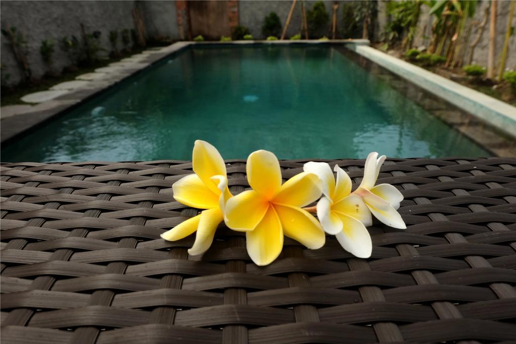 Eka Bali Guest House Ubud Kültér fotó